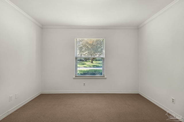 carpeted spare room featuring ornamental molding