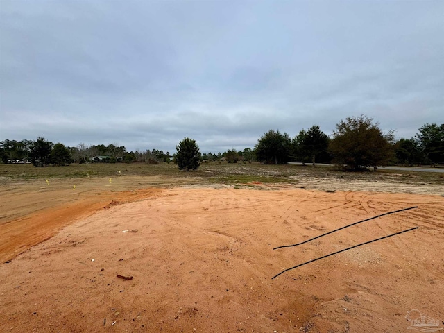 view of yard with a rural view