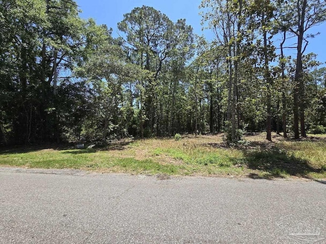 1000BLK Perdido Manor Rd, Pensacola FL, 32506 land for sale