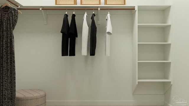 view of spacious closet