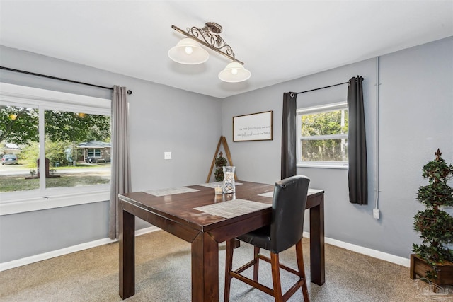 dining space with carpet