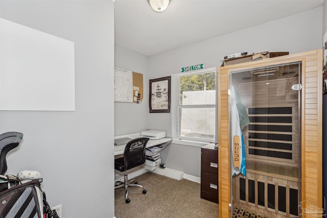 office area featuring carpet flooring