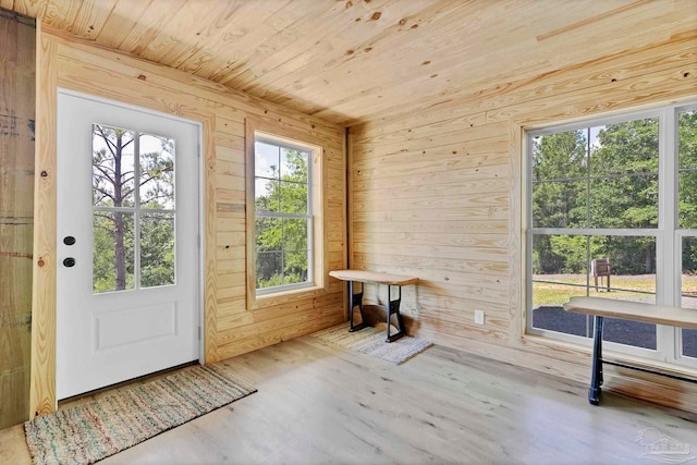doorway featuring wooden walls, wood ceiling, and wood finished floors