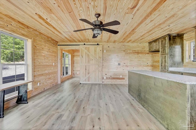 interior space featuring wooden walls, a barn door, wood ceiling, and a healthy amount of sunlight