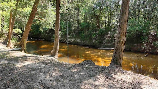 view of water feature featuring a wooded view