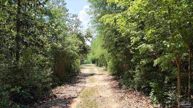 view of street featuring a view of trees