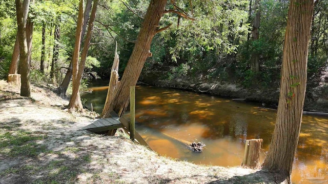 view of water feature