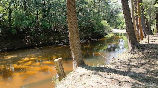 view of water feature with a wooded view