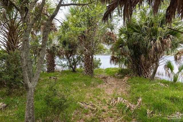 view of local wilderness with a water view