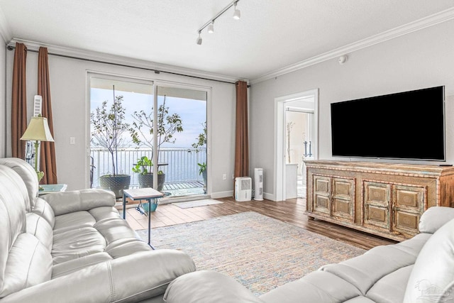 living room with wood-type flooring, rail lighting, a textured ceiling, and crown molding