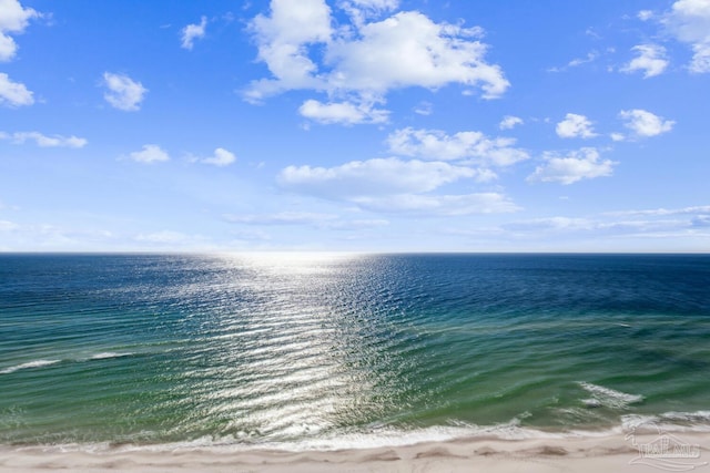 property view of water with a beach view