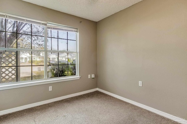 empty room with carpet and a textured ceiling