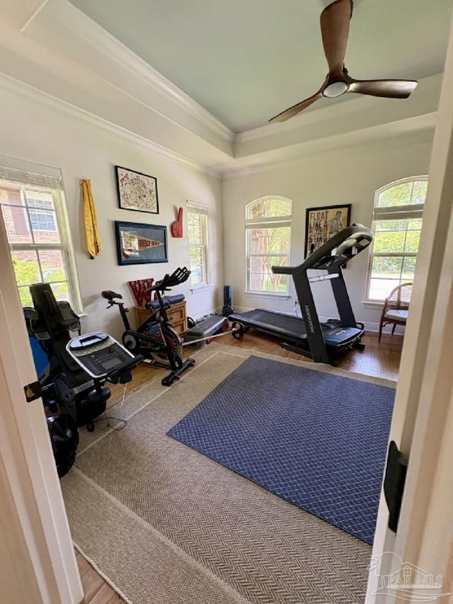2367 Greenbrier Blvd, Pensacola, FL 32514 - exercise area with ornamental molding, a tray ceiling, ceiling fan, and wood finished floors