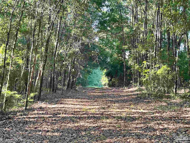 4180 Mart Jernigan Rd, Jay FL, 32565 land for sale