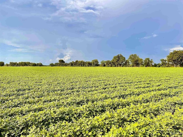 3500 Highway 182 7414Wendt Farm Rd(Next To 7410Wendt Rd) Parcel B, Jay, FL 32565