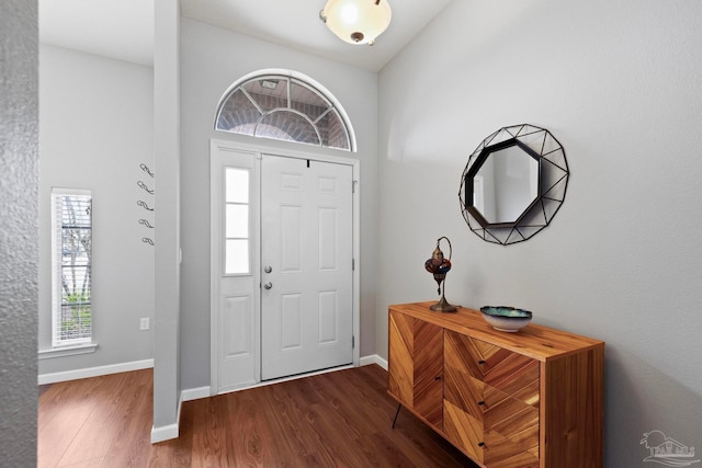 entrance foyer with dark hardwood / wood-style floors