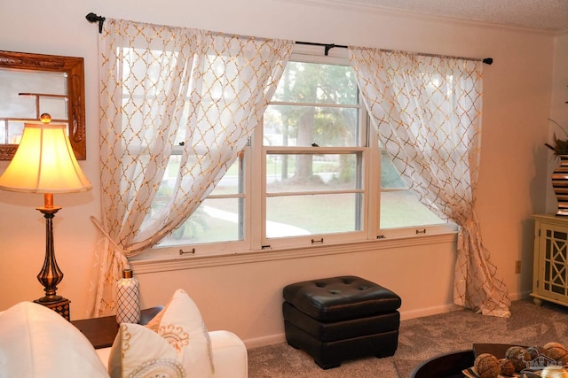 living area with carpet floors and a textured ceiling