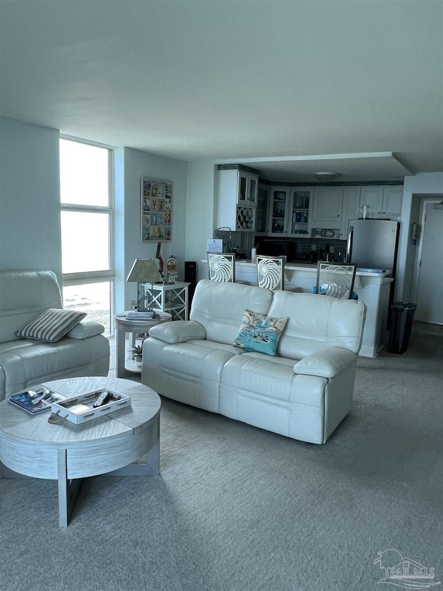 330FORT Pickens Rd Unit 11C, Pensacola Beach, FL 32561 - living area with carpet flooring