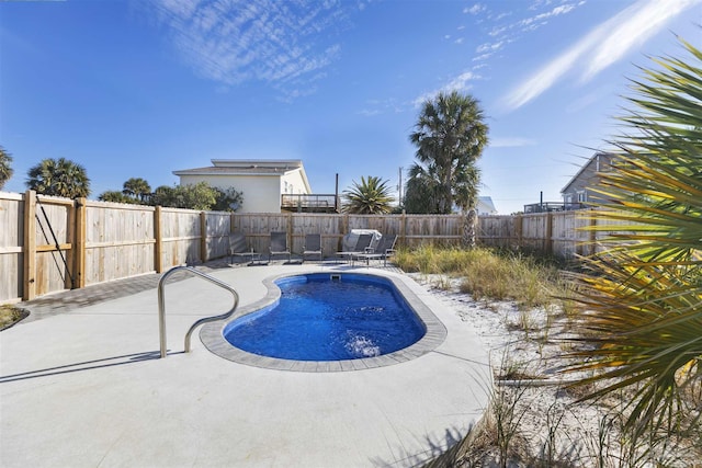 view of pool with a patio