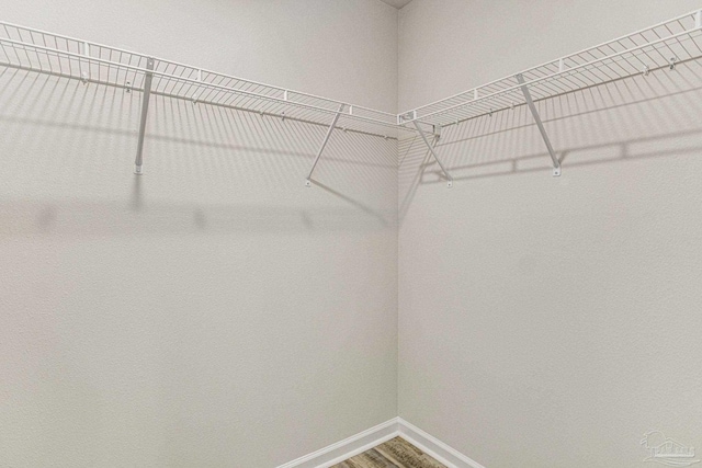 walk in closet featuring hardwood / wood-style floors