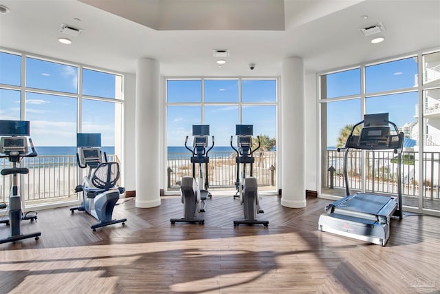 gym with expansive windows, hardwood / wood-style flooring, and ornate columns