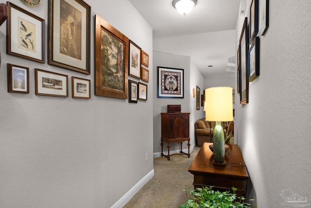 5282 Parkside Dr, Pace, FL 32571 - hall with carpet floors and baseboards