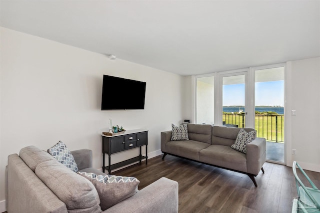 living room featuring dark hardwood / wood-style flooring