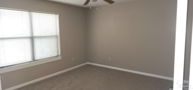 unfurnished room with carpet and ceiling fan