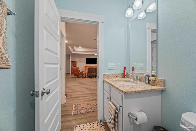 bathroom featuring a tray ceiling, wood finished floors, and vanity