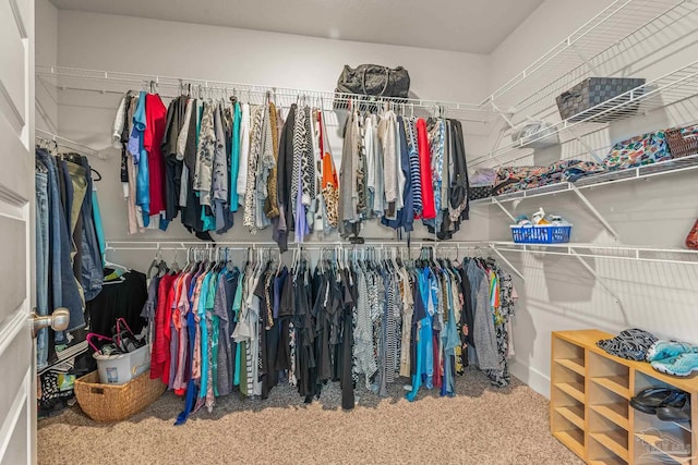 walk in closet featuring carpet