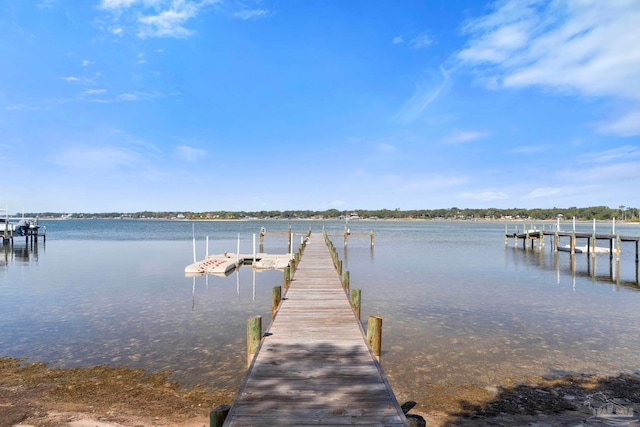 dock area with a water view