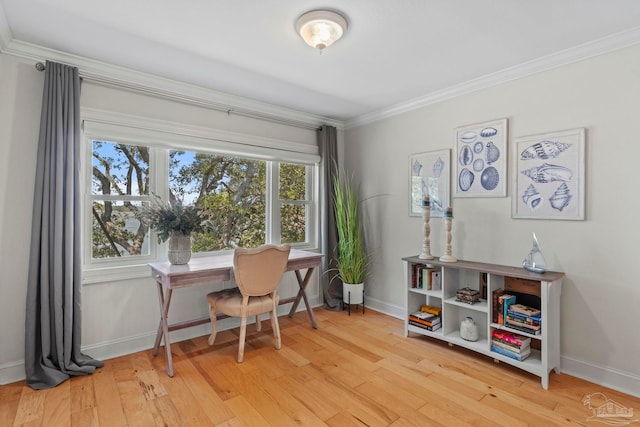 office with light wood-style floors, plenty of natural light, and ornamental molding