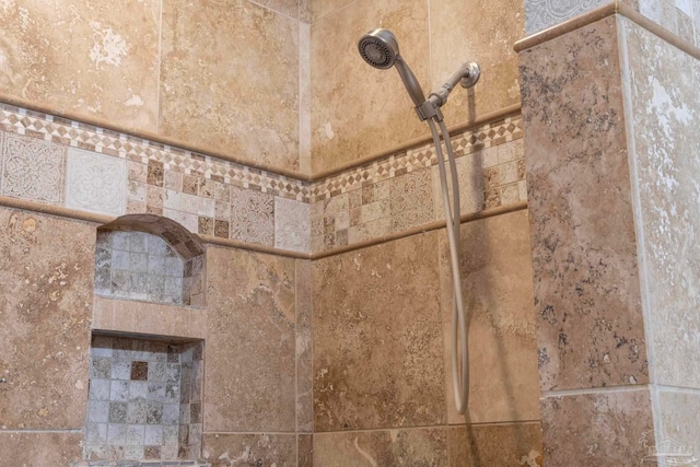 interior details with tiled shower