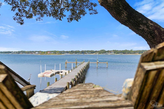 dock area featuring a water view