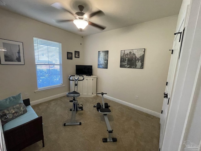workout area featuring baseboards, carpet, and ceiling fan