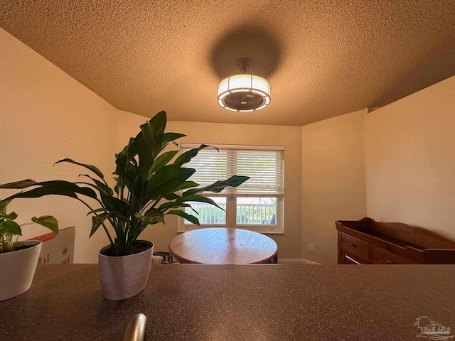 4955 Makenna Cir, Pace, FL 32571 - dining room featuring a textured ceiling
