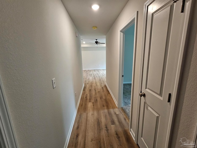 corridor with hardwood / wood-style floors