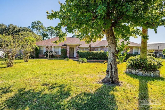 ranch-style home with a front lawn