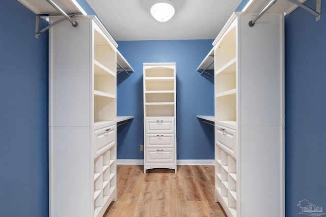 spacious closet with light wood-type flooring