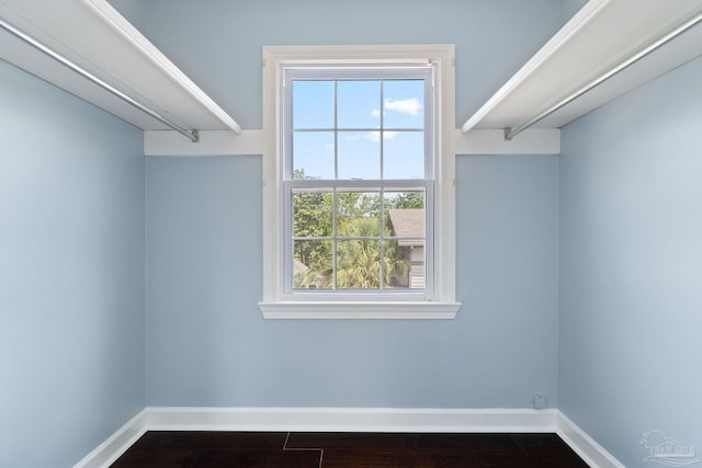 walk in closet featuring wood finished floors