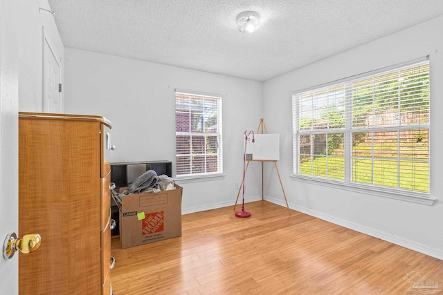 office featuring a textured ceiling, a healthy amount of sunlight, and light wood-type flooring