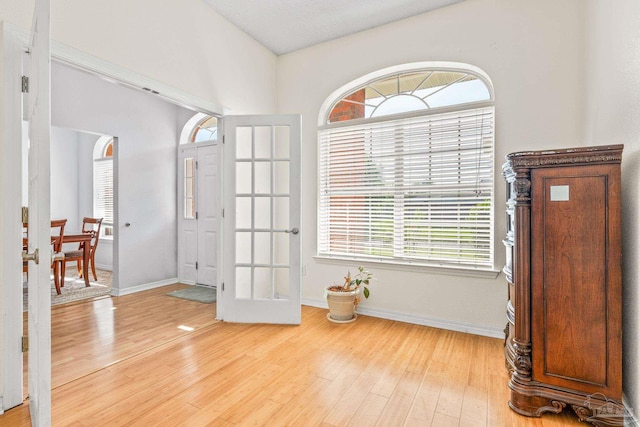 interior space featuring wood-type flooring and a wealth of natural light