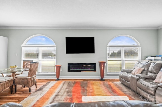 living room with crown molding, wood-type flooring, and plenty of natural light