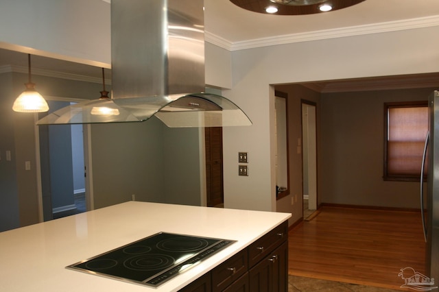 kitchen featuring crown molding, island exhaust hood, and black electric stovetop