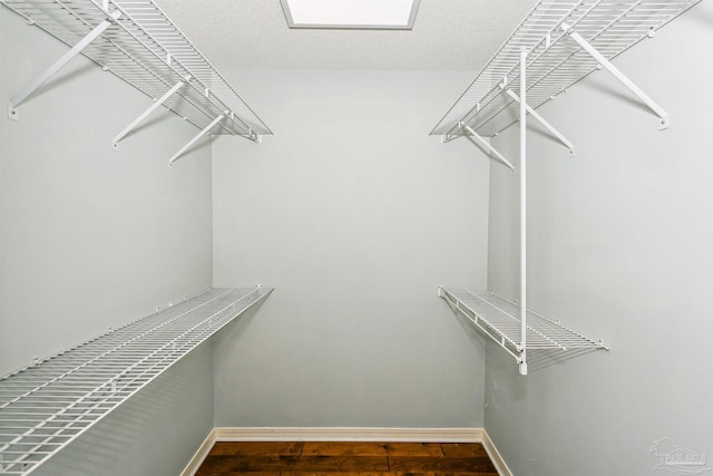 spacious closet featuring wood finished floors