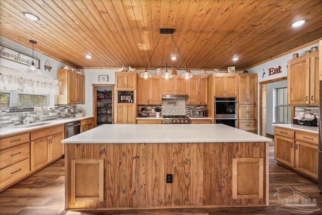 3351 Velor Rd, Mcdavid, FL 32568 - kitchen featuring light countertops, a sink, appliances with stainless steel finishes, a large island, and dark wood-style floors