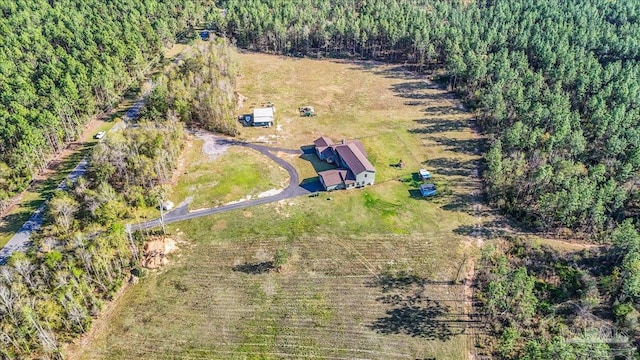 3351 Velor Rd, Mcdavid, FL 32568 - drone / aerial view