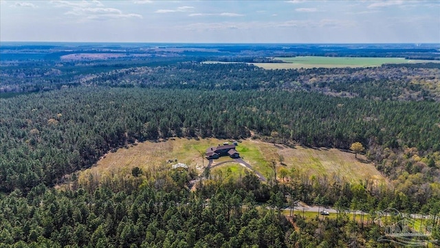 3351 Velor Rd, Mcdavid, FL 32568 - aerial view featuring a wooded view