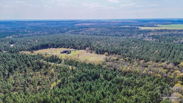 3351 Velor Rd, Mcdavid, FL 32568 - drone / aerial view with a wooded view