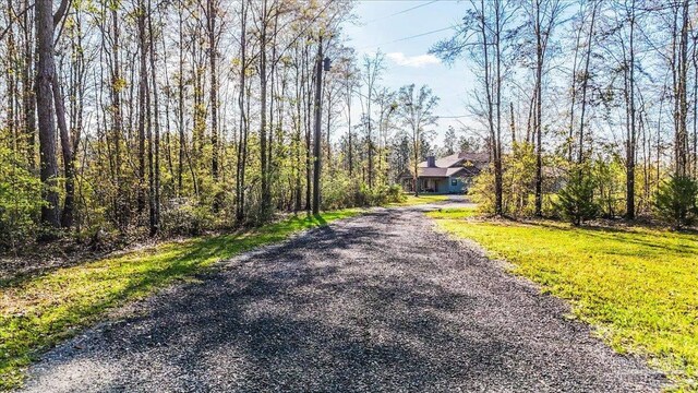 3351 Velor Rd, Mcdavid, FL 32568 - view of road with driveway
